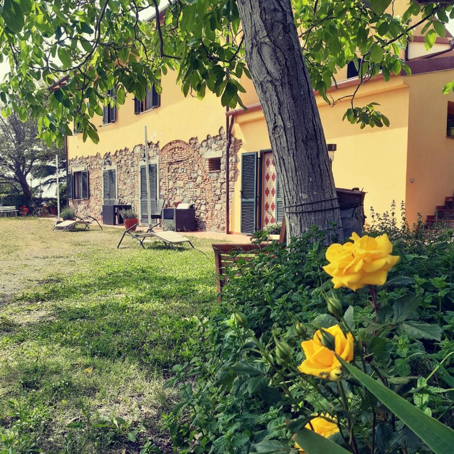 Agriturismo Il Gelso Pomaia Exterior photo