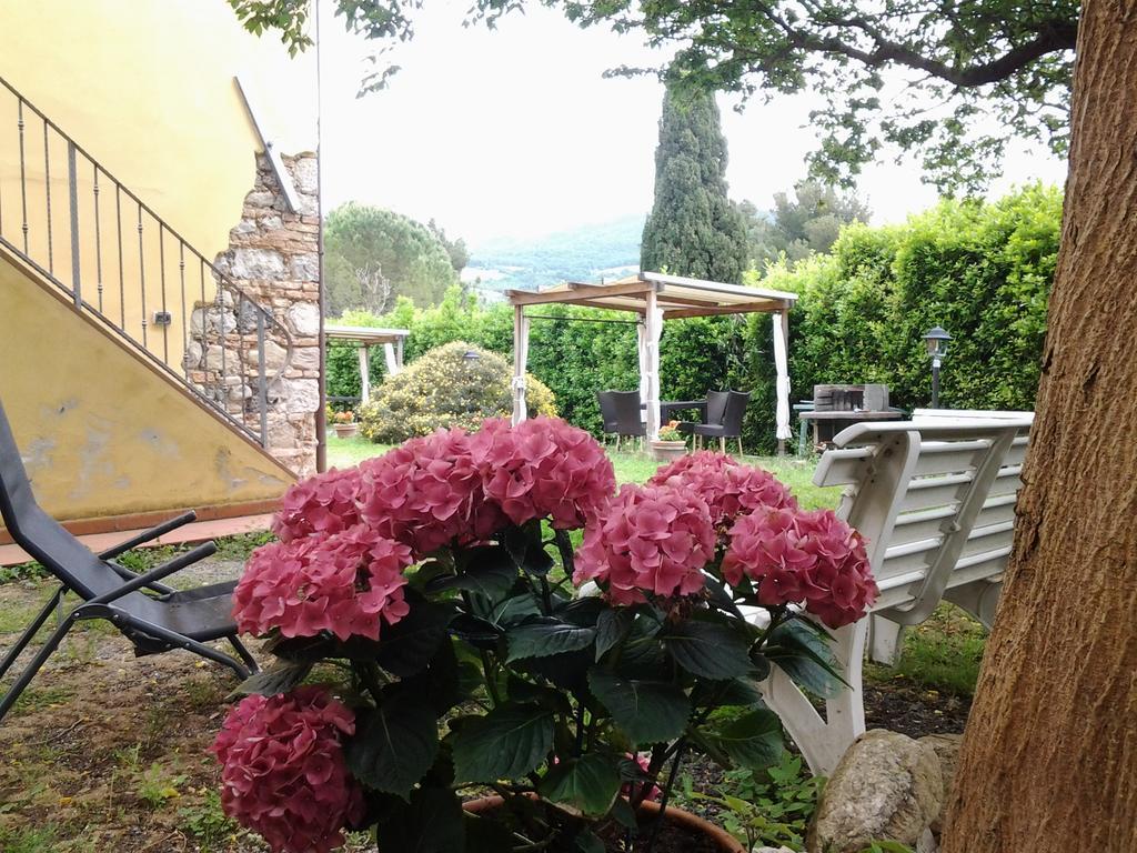 Agriturismo Il Gelso Pomaia Exterior photo